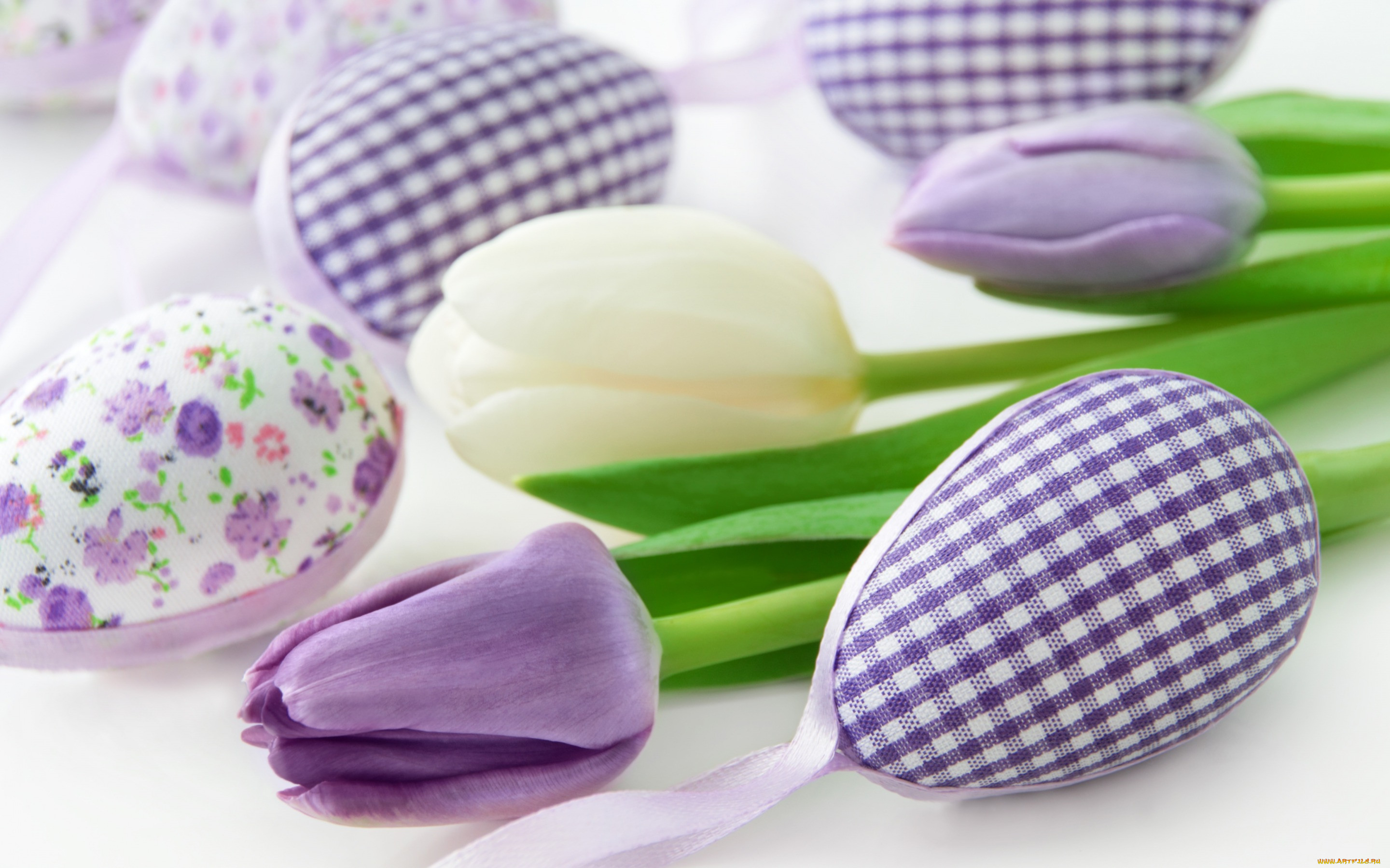 , , tulips, flowers, spring, delicate, easter, happy, pastel, decoration, , eggs, , 